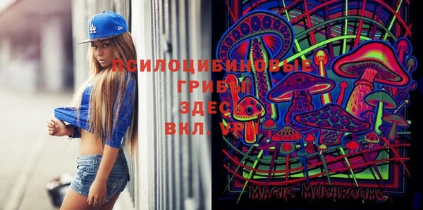 ГАЛЛЮЦИНОГЕННЫЕ ГРИБЫ Алексеевка
