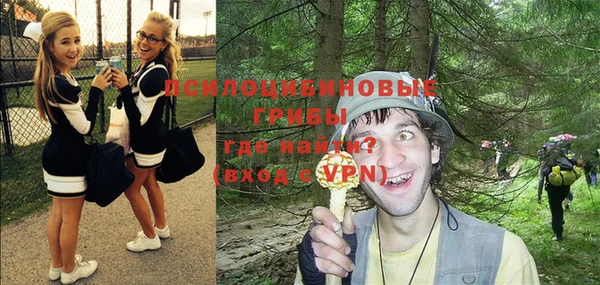 герыч Алексин