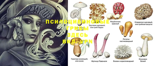 соль курить ск Аркадак